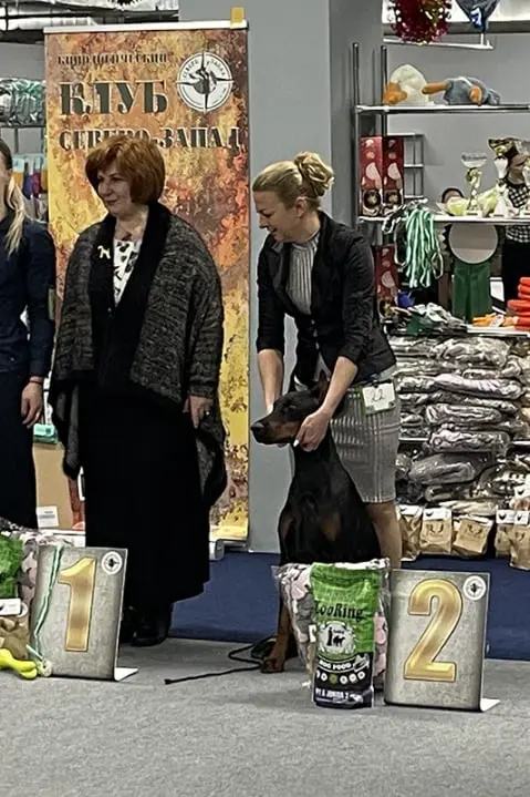 Rose - Выставка 8 декабря 2024 года