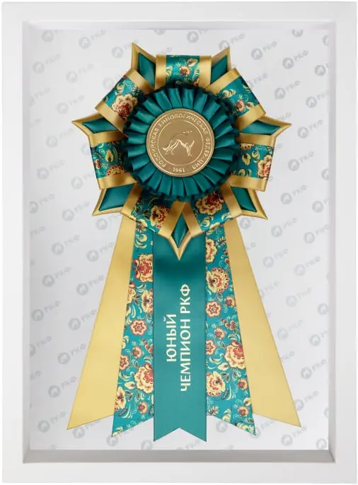 Юный чемпион РКФ - ROSE - Выставка собак