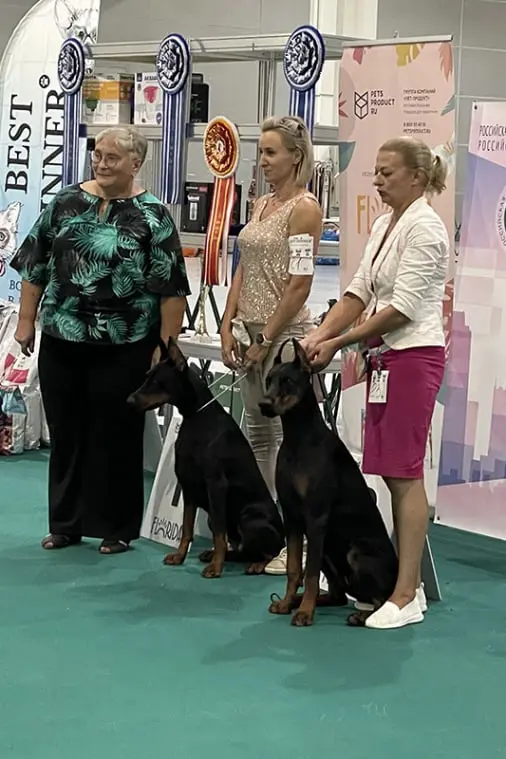 Rose - Выставка 11 августа 2024 года