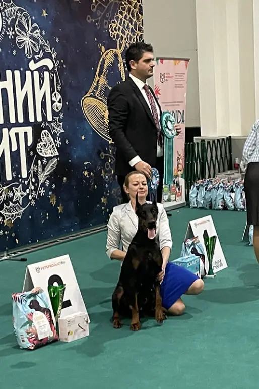 Rose - Выставка 18 января 2025 год