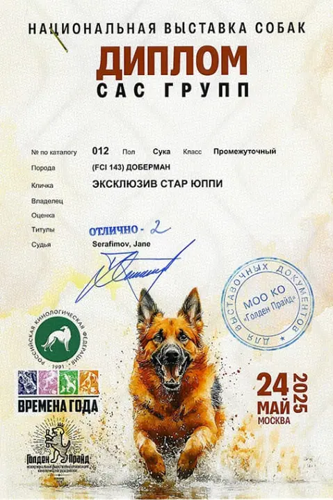 Rose - Выставка 24 мая 2025 год