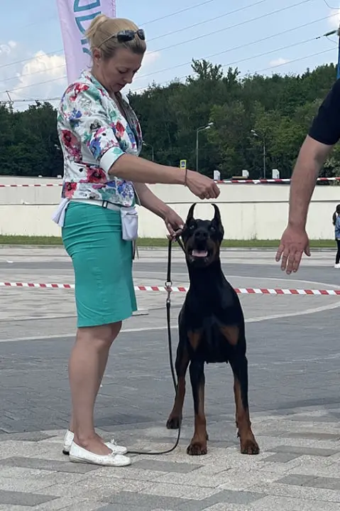 Rose - Выставка 24 мая 2025 год