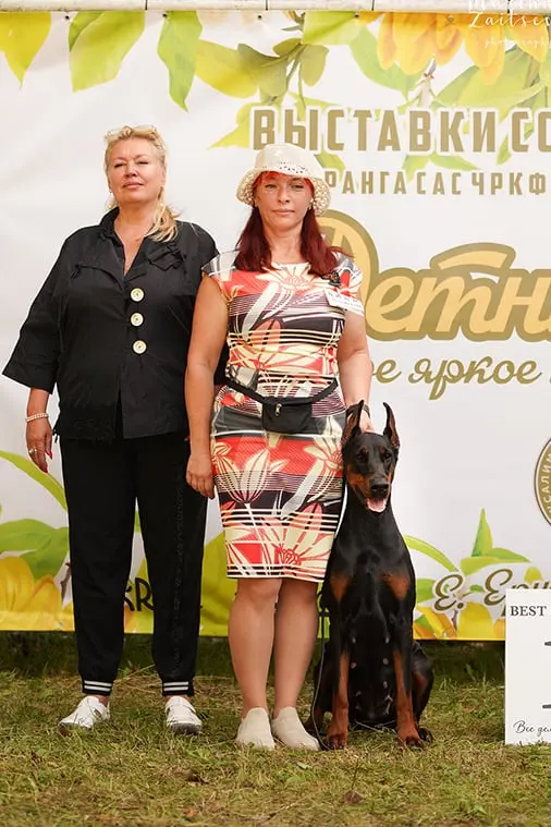 Rose - Выставка 30 августа 2025 год