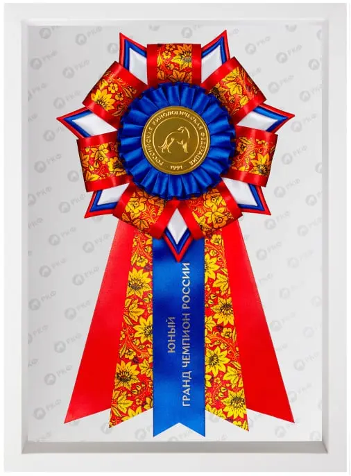 Юный гранд чемпион - ROSE - Выставка собак