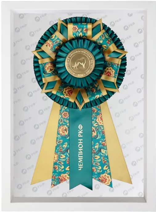 Чемпион РКФ - ROSE - Выставка собак