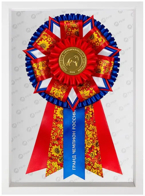 Гранд чемпион - ROSE - Выставка собак