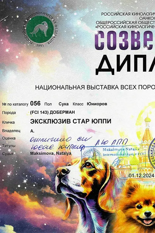 Rose - Выставка 1 декабря 2024 года